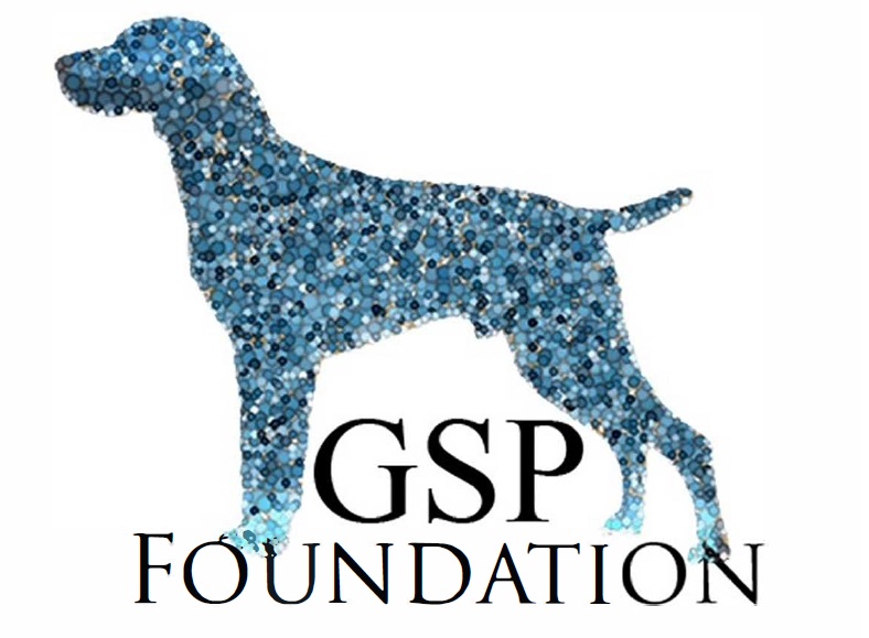 THEgspfoundation.org